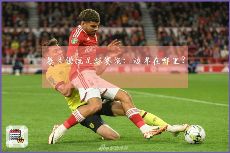 暴力侵扰足球赛场：边界在哪里？