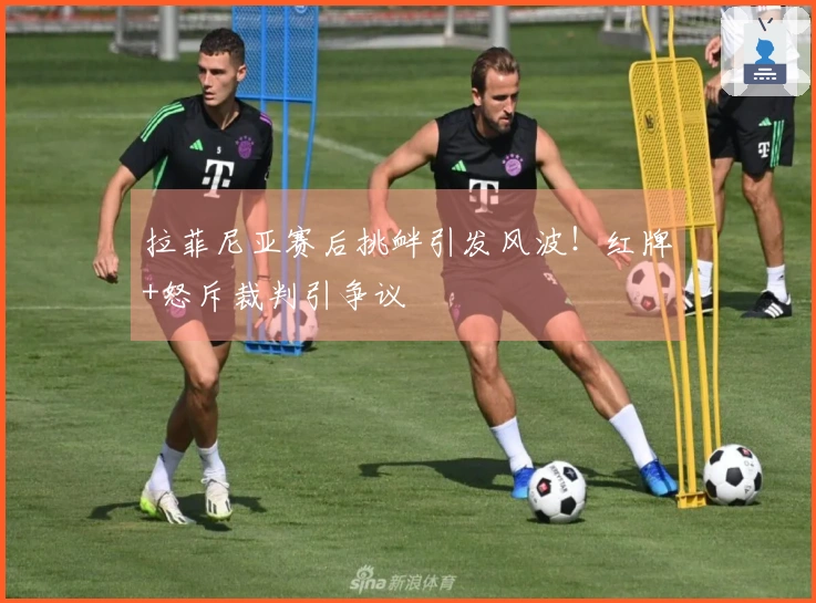 拉菲尼亚赛后挑衅引发风波！红牌+怒斥裁判引争议