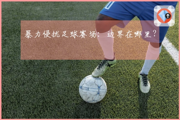 暴力侵扰足球赛场：边界在哪里？